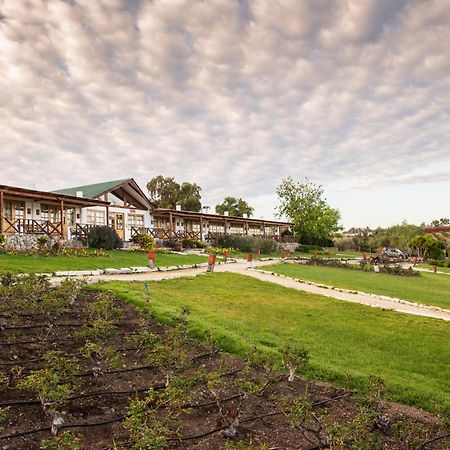 Hacienda Santa Cristina Hotel Ovalle Ngoại thất bức ảnh