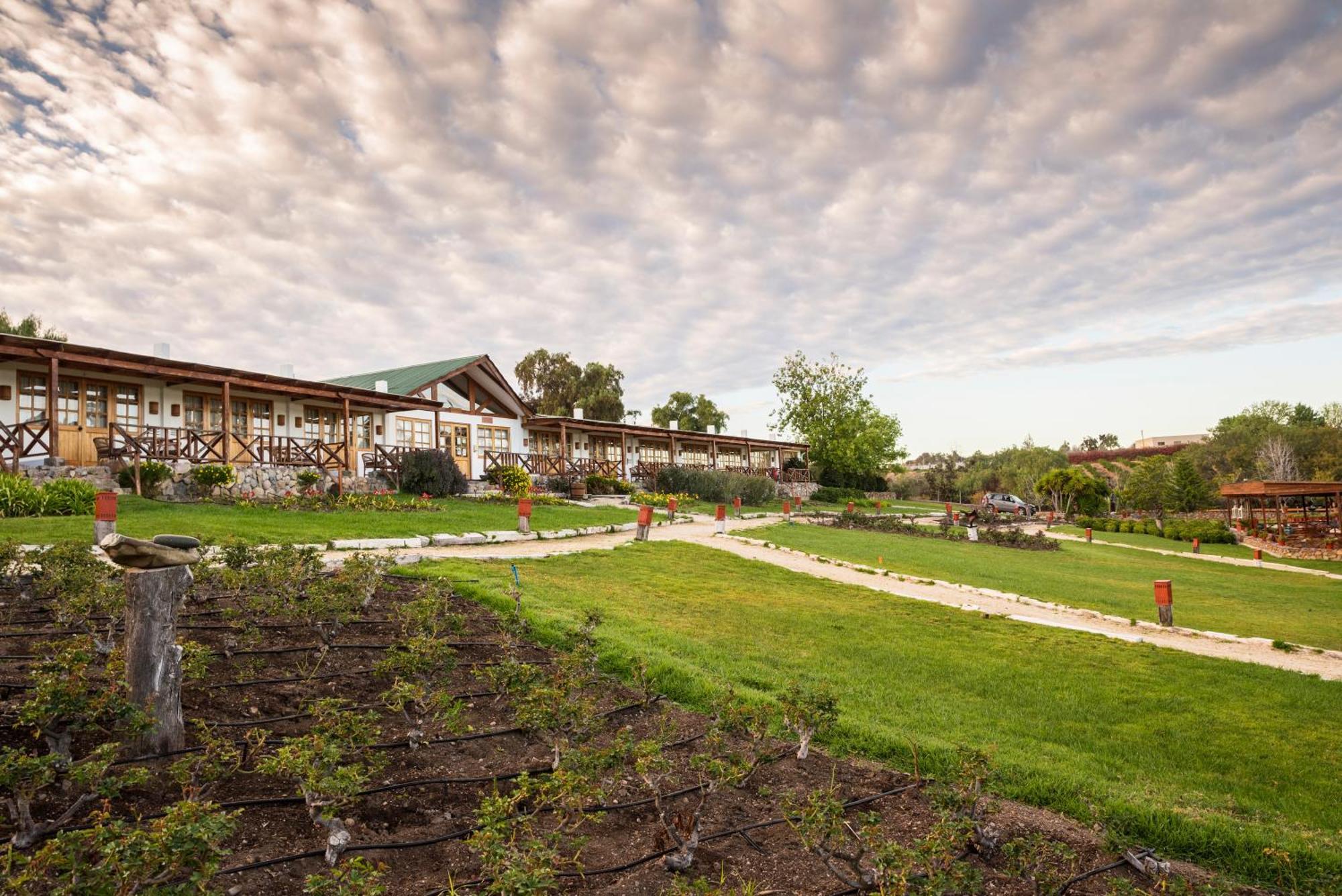 Hacienda Santa Cristina Hotel Ovalle Ngoại thất bức ảnh
