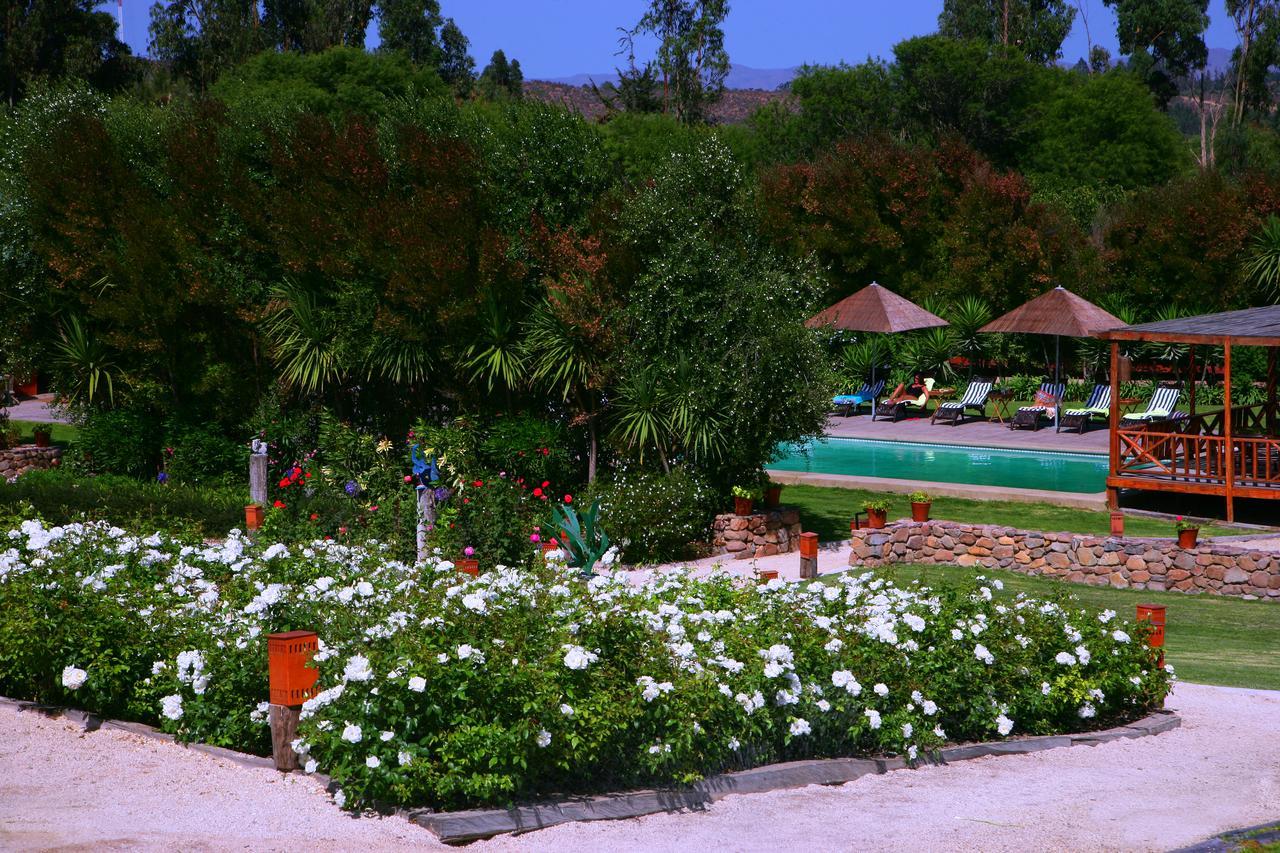 Hacienda Santa Cristina Hotel Ovalle Ngoại thất bức ảnh