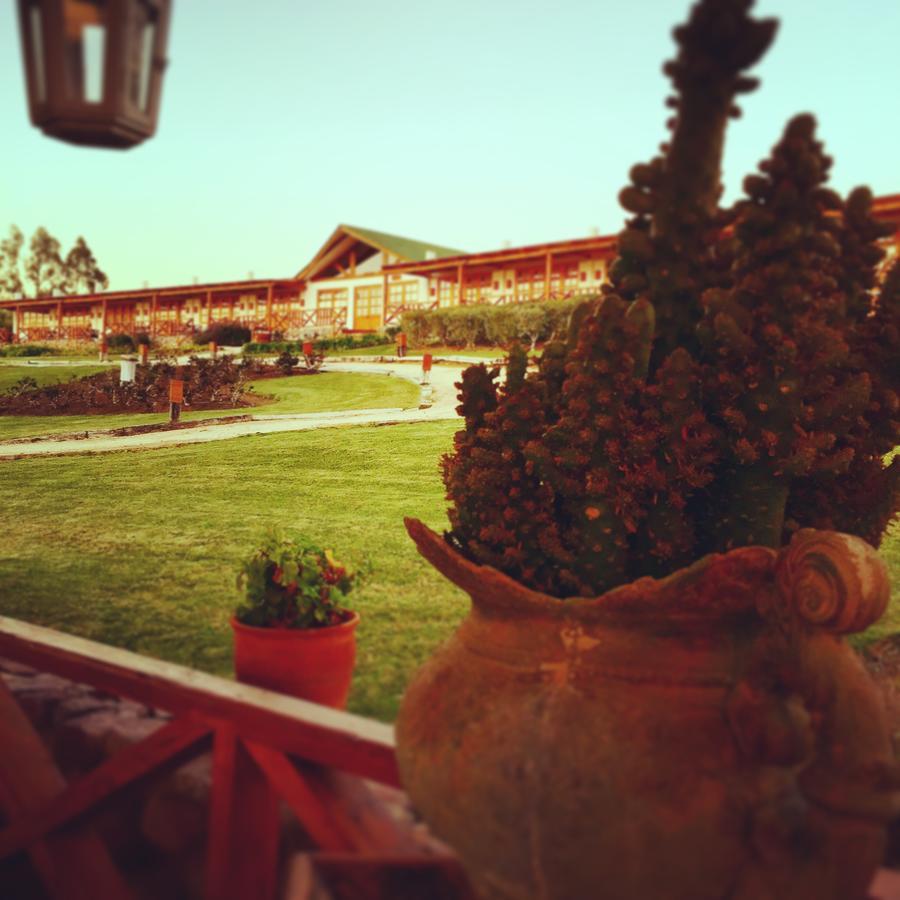 Hacienda Santa Cristina Hotel Ovalle Ngoại thất bức ảnh