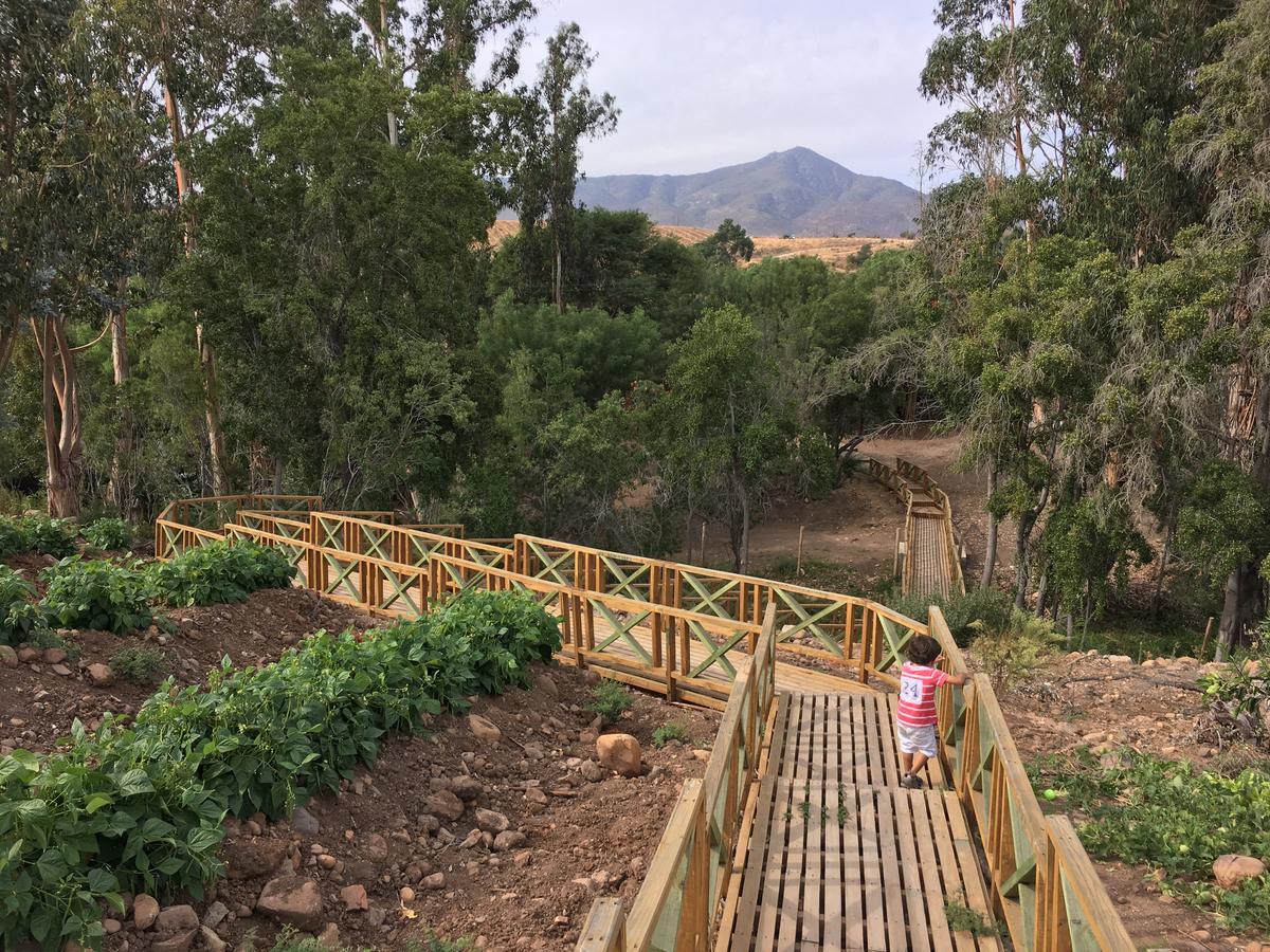 Hacienda Santa Cristina Hotel Ovalle Ngoại thất bức ảnh