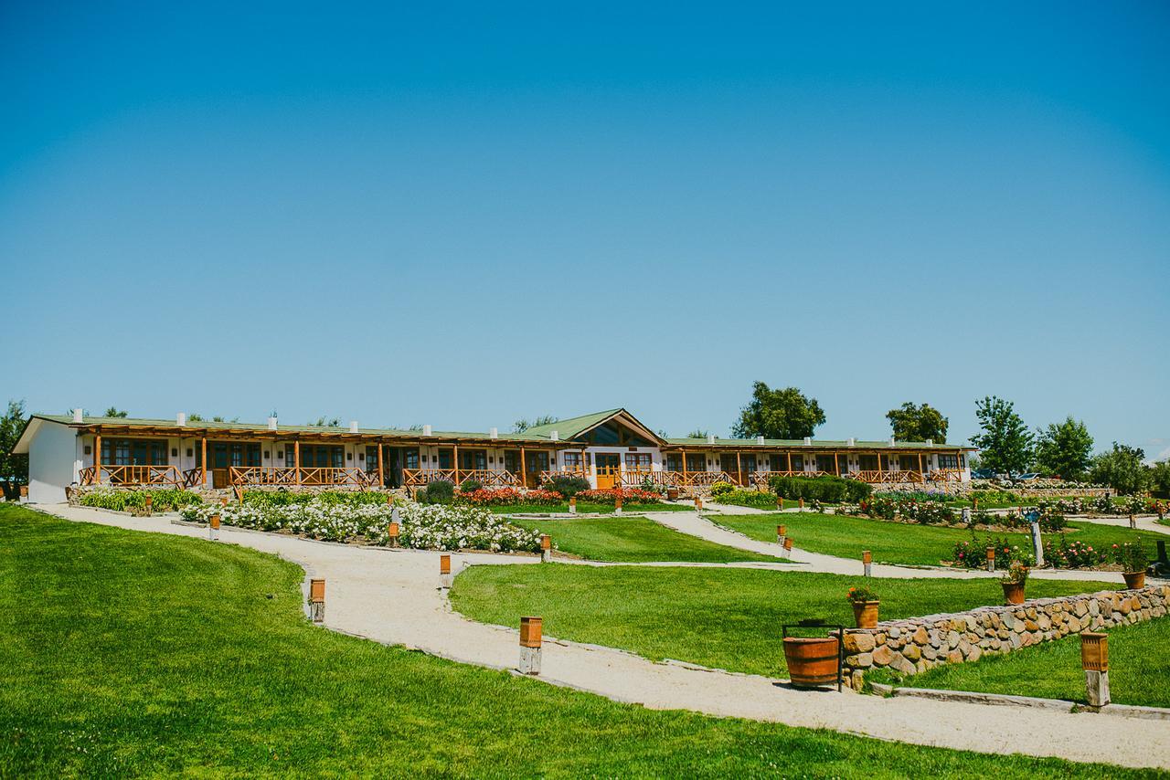 Hacienda Santa Cristina Hotel Ovalle Ngoại thất bức ảnh