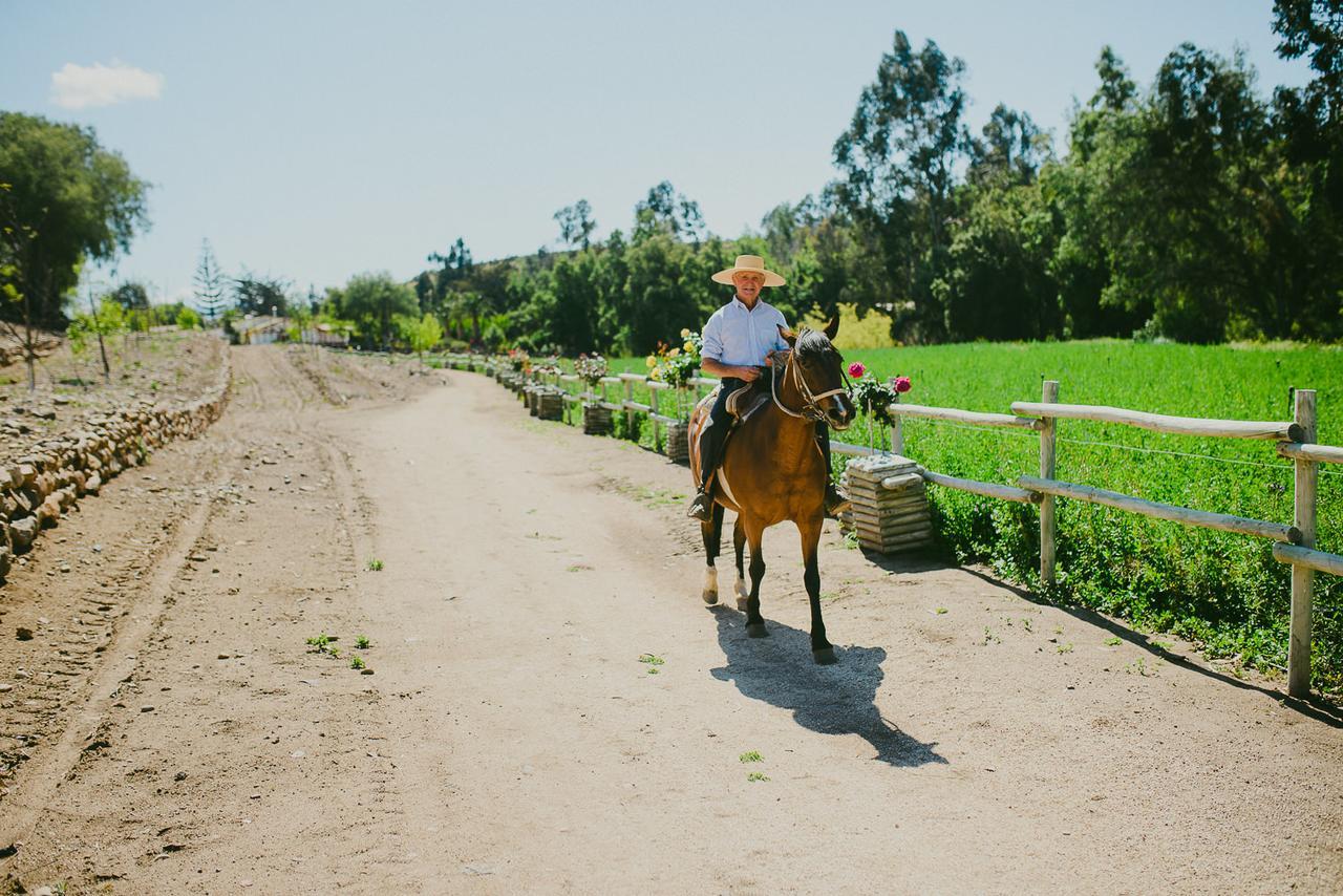 Hacienda Santa Cristina Hotel Ovalle Ngoại thất bức ảnh