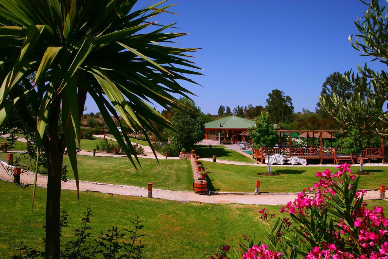 Hacienda Santa Cristina Hotel Ovalle Ngoại thất bức ảnh